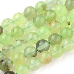 Natur Prehnit Perlen Stränge, Runde, 8 mm, Bohrung: 1 mm, ca. 47~48 Stk. / Strang, 15.7 Zoll (40 cm)