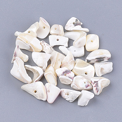 Perles en coquille de mer, puce, couleur de coquillage, 5~37x3~13x1~7mm, Trou: 1mm