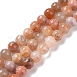 Chapelets de perles en agate naturelle du Botswana, ronde, 8mm, Trou: 0.9mm, Environ 49 pcs/chapelet, 15.83 pouce (40.2 cm)