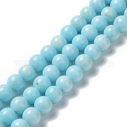 Chapelets de perles en howlite naturelle, teinte, ronde, 10~10.5mm, Trou: 1.4mm, Environ 39 pcs/chapelet, 15.43~15.55'' (39.2~39.5 cm)