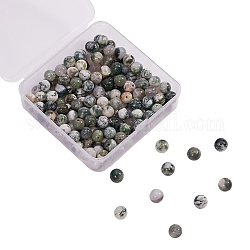 200Pcs Natural Tree Agate Beads, Round, 8mm, Hole: 1mm