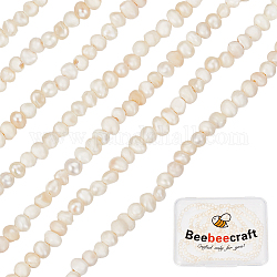 Beebeecraft 2 hilos perlas naturales cultivadas de agua dulce hebras, patata, color de concha, 1.5~2x1.5~3x1.5~2mm, agujero: 0.5 mm, aproximamente 142 pcs / cadena, 13.78 pulgada (35 cm)