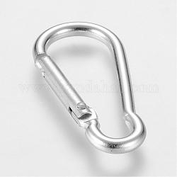 Alluminio moschettoni arrampicata, fermagli chiave, con accessori di ferro, argento, 48~48.5x22.5~23x6mm