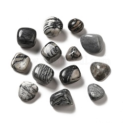 Natürliche schwarze Netzsteinperlen, getrommelt Stein, Vasenfüller Edelsteine, kein Loch / ungekratzt, Nuggets, 17~30x15~27x8~22 mm