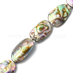 Naturelles Paua brins de perles, pépites, 13.5~21x9~12.5x2~5mm, Trou: 0.5mm, Environ 22 pcs/chapelet, 16.54 pouce (42 cm)