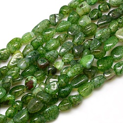 Pepite fili di perline di agata crepitio naturale, tinti e riscaldato, verde lime, 8~16x8~12x6~10mm, Foro: 1 mm, circa 30~40pcs/filo, 15~16 pollice