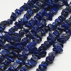 Abalorios de lapislázuli naturales hebras, chip, Grado B, azul real, 3~5x7~13x2~4mm, agujero: 0.4 mm, 34.9 pulgada