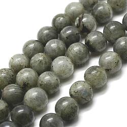 Chapelets de perles en labradorite naturelle, ronde, 6mm, Trou: 1mm, Environ 61 pcs/chapelet, 15 pouce