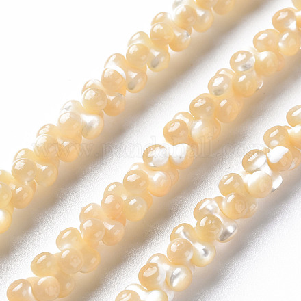 Fili di perline trochid naturali / trochus SSHEL-N034-104-A01-1
