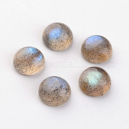 Natur Labradorit Cabochons&nbsp;G-D804-02-1