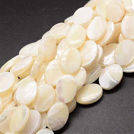 Natural Trochid Shell/Trochus Shell Beads Strands SSHEL-K008-05-1
