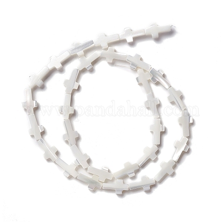 Perle trochid naturali / conchiglie trochus SSHEL-O0001-22A-1