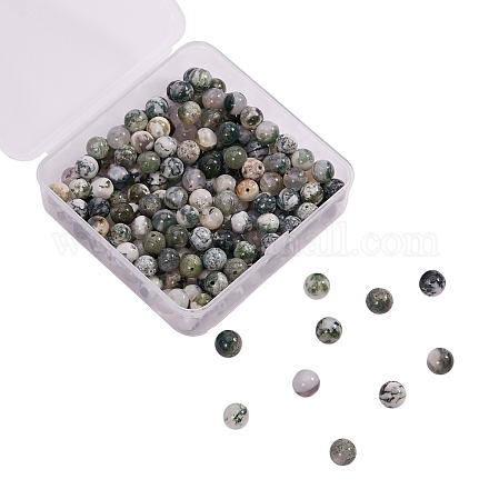 200Pcs Natural Tree Agate Beads G-CJ0001-65-1