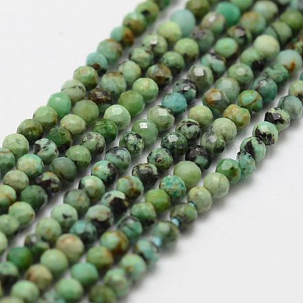 Natural Turquoise Bead Strands G-P270-2mm-18-1