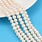 Natural Cultured Freshwater Pearl Beads Strands, Potato, Grade 4A++, Seashell Color, 7~8mm, Hole: 0.7mm, about 54~55pcs/strand, 14.09~14.37 inch(35.8~36.5cm)