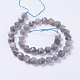 Chapelets de perles en labradorite naturelle  G-F568-042-10mm-2