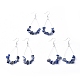 Dangle Earrings EJEW-E255-B01-2