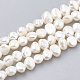 Natural Cultured Freshwater Pearl Beads Strands PEAR-S012-81E-1