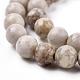 Chapelets de perles maifanite/maifan naturel pierre  G-F353-10mm-6