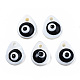 Natural Freshwater Shell Charms SHEL-T017-42-6