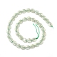 Chapelets de perles en préhnite naturelle G-I271-B14-8x10mm-2