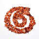 Natural Agate Chip Bead Strands G-M205-47-2