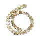 Brins de perles de coquille d'eau douce naturelles de style drawbench SHEL-F003-03-3