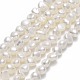 Natural Cultured Freshwater Pearl Beads Strands PEAR-A005-05H-01-1