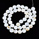 Eau douce naturelle de coquillage perles brins SHEL-Q024-016-2