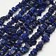 Natural Lapis Lazuli Beads Strands G-F328-15-B-1