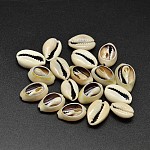 Perle naturali di conchiglia di ciprea, Senza Buco, verga d'oro pallido, 17~20x10~12x5~6mm