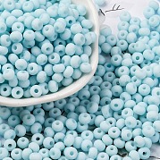 Выпечка краска стеклянные бусины SEED-C003-02E