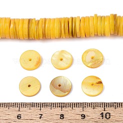 Naturali di acqua dolce perline shell fili&nbsp;SHEL-N037-03A-06