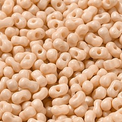 Backlack Glasperlen&nbsp;SEED-K009-01A-21