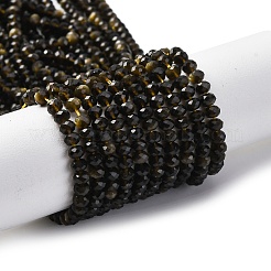 Natürliche goldenen Glanz Obsidian Perlen Stränge&nbsp;G-G139-B24-01