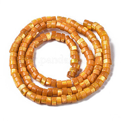 Natürliche Trochusmuschelperlenstränge&nbsp;LS-SHEL-S278-027F