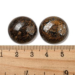 Cabochons en bronzite naturel&nbsp;G-C115-02A-25