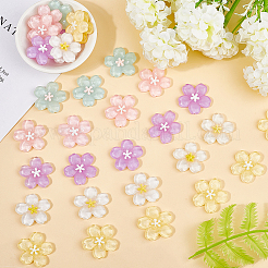 40 Stück undurchsichtige Harz-Cabochons der Sakura-Serie&nbsp;CRES-SP0001-17