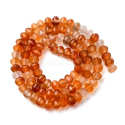 Chapelets de perles en cornaline naturelle&nbsp;G-P587-D06-01