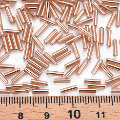 Perles de bugle en verre plaqué&nbsp;SEED-S046-01B-39A