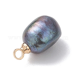 Natürliche Perlen-Kartoffel-Charms&nbsp;PALLOY-JF04848