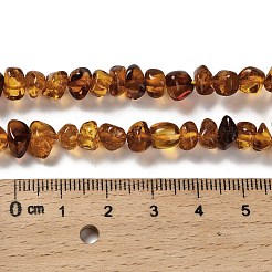 Naturbernsteinperlen Stränge&nbsp;G-L095-L01-02