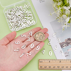 12 Set Anhänger aus Legierung im tibetischen Stil.&nbsp;TIBEP-ME0001-12AS