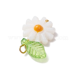 4 stücke 4 arten natürliche süßwasser shell emaille anhänger&nbsp;PALLOY-JF03480