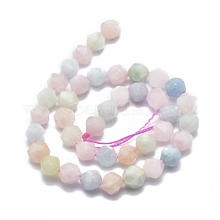 Naturperlen Stränge morganite&nbsp;G-K303-B03-10mm
