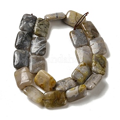 Natürliche Bambus-Blatt-Achat Perlen Stränge&nbsp;G-NH0014-E01-01