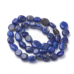 Filo di Perle lapis lazuli naturali &nbsp;G-Q961-25