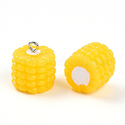 Pendentifs en fer et résine&nbsp;LS-RESI-T057-23