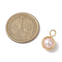 Muschelperle&nbsp;PALLOY-JF03258