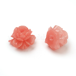 Perle di guscio&nbsp;CORA-D032-16